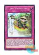 英語版 MP15-EN042 Sylvan Waterslide 森羅の滝滑り (ノーマル) 1st Edition