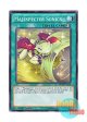 英語版 MP16-EN219 Majespecter Sonics マジェスペクター・ソニック (ノーマル) 1st Edition