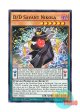 英語版 MP17-EN066 D/D Savant Nikola DD魔導賢者ニコラ (ノーマル) 1st Edition