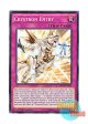英語版 MP17-EN160 Crystron Entry クリストロン・エントリー (ノーマル) 1st Edition