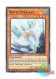 英語版 MP19-EN148 White Stingray ホワイト・スティングレイ (ノーマル) 1st Edition