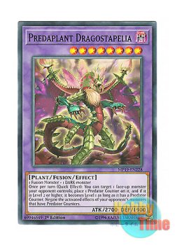 画像1: 英語版 MP19-EN228 Predaplant Dragostapelia 捕食植物ドラゴスタペリア (ノーマル) 1st Edition