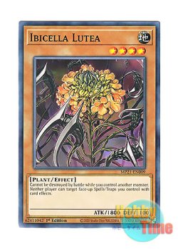画像1: 英語版 MP21-EN009 Ibicella Lutea イビルセラ・ルテア (ノーマル) 1st Edition