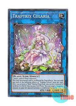画像1: 英語版 MP22-EN087 Traptrix Cularia クラリアの蟲惑魔 (スーパーレア) 1st Edition