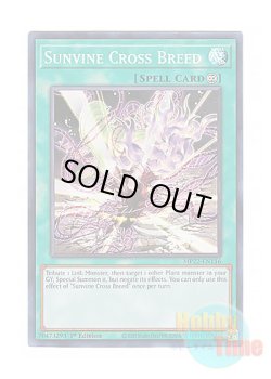 画像1: 英語版 MP22-EN116 Sunvine Cross Breed 聖蔓の交配 (スーパーレア) 1st Edition