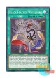 英語版 MP23-EN195 Black Feather Whirlwind 黒羽の旋風 (ノーマル) 1st Edition