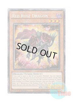 画像1: 英語版 MP25-EN037 Red Rose Dragon レッドローズ・ドラゴン (スターライトレア) 1st Edition