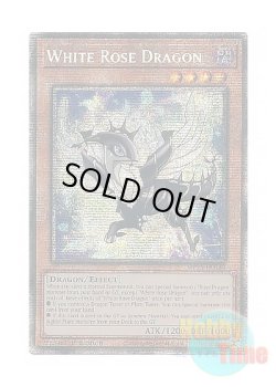 画像1: 英語版 MP25-EN038 White Rose Dragon ホワイトローズ・ドラゴン (スターライトレア) 1st Edition
