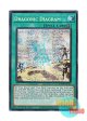 英語版 MP25-EN139 Dragonic Diagram ドラゴニックD (プリズマティックシークレットレア) 1st Edition
