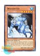 英語版 AP01-EN015 Dragon Ice ドラゴン・アイス (ノーマル)