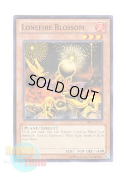 画像1: 英語版 AP04-EN017 Lonefire Blossom ローンファイア・ブロッサム (ノーマル)