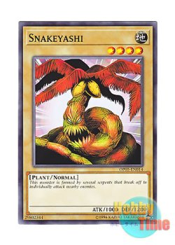 画像1: 英語版 OP05-EN014 Snakeyashi スネーク・パーム (ノーマル)