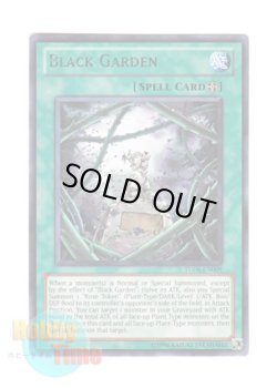 画像1: 英語版 TU06-EN009 Black Garden ブラック・ガーデン (レア)