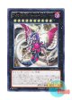 日本語版 LVAL-JP050 Number C92: Heart-eartH Chaos Dragon CNo.92 偽骸虚龍 Heart－eartH Chaos Dragon (レア)