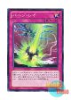日本語版 LVAL-JP072 Purge Ray パージ・レイ (ノーマル)