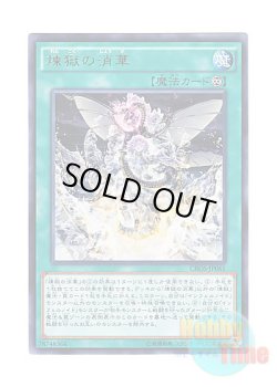 画像1: 日本語版 CROS-JP061 Void Vanishment 煉獄の消華 (レア)