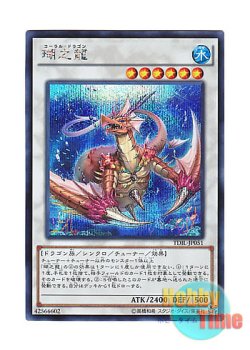 画像1: 日本語版 TDIL-JP051 Coral Dragon 瑚之龍 (シークレットレア)