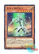 日本語版 EXFO-JP015 Mekk-Knight Green Horizon 翠嵐の機界騎士 (ノーマル)