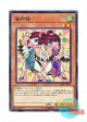 日本語版 EXFO-JP030 Mahjong Munia Maidens 雀姉妹 (ノーマル)