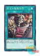 日本語版 EXFO-JP059 Glory of the Noble Knights 栄光の聖騎士団 (ノーマル)