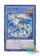 日本語版 CYHO-JP031 Paladin of Storm Dragon 嵐竜の聖騎士 (レア)