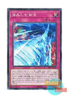 日本語版 VJMP-JP173 Wynn the Wind Channeler 風霊媒師ウィン