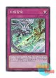 日本語版 ROTD-JP079 Ice Dragon's Prison 天龍雪獄 (スーパーレア)