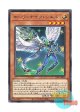日本語版 LIOV-JP019 Starry Knight Ciel ホーリーナイツ・シエル (ノーマル)