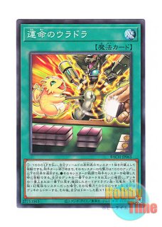 日本語版 AC03-JP013 Number 1: Infection Buzzking No.1