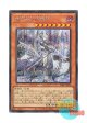 日本語版 DABL-JP030 海外未発売 迷宮城の白銀姫 (シークレットレア)