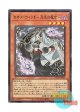 日本語版 PHHY-JP009 海外未発売 カオス・ウィッチ－混沌の魔女－ (スーパーレア)