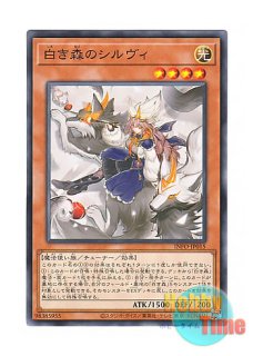 日本語版 INFO-JP040 Diabell, Queen of the White Forest 白き森の