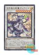 日本語版 INFO-JP040 海外未発売 白き森の妖魔ディアベル (ウルトラレア)
