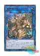 日本語版 INFO-JP051 海外未発売 星界樹イルミスティル (レア)