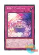 日本語版 INFO-JP075 海外未発売 創神のヴァルモニカ (ノーマル)