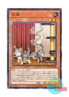 日本語版 ST18-JP010 Beast King Barbaros 神獣王バルバロス (ノーマル)