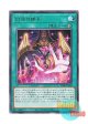 日本語版 BPRO-JP068 海外未発売 幻惑の操手 (レア)