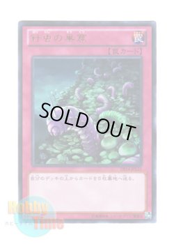 画像1: 日本語版 DS14-JPL31 Needlebug Nest 針虫の巣窟 (ウルトラレア)