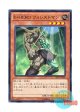 日本語版 SD27-JP004 Elemental HERO Woodsman E・HERO フォレストマン (ノーマル)