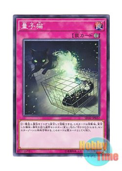 画像1: 日本語版 SD32-JP037 Quantum Cat 量子猫 (ノーマル)