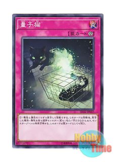 英語版 LDK2-ENK01 Blue-Eyes White Dragon 青眼の白龍 (ノーマル) 1st