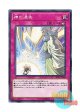 日本語版 SD32-JP040 Solemn Strike 神の通告 (ノーマル)