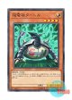 日本語版 SD34-JP019 Electromagnetic Turtle 超電磁タートル (ノーマル)