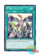 日本語版 SR02-JP026 A Wingbeat of Giant Dragon 巨竜の羽ばたき (ノーマル)