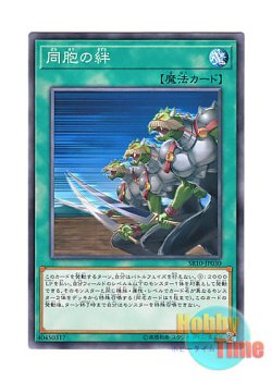 画像1: 日本語版 SR10-JP030 Ties of the Brethren 同胞の絆 (ノーマル)