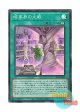 日本語版 SR13-JP026 海外未発売 暗黒界の文殿 (スーパーレア)