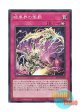 日本語版 SR13-JP034 海外未発売 暗黒界の懲罰 (スーパーレア)