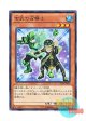 日本語版 ST14-JP020 Green Turtle Summoner 玄武の召喚士 (ノーマル)