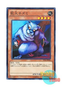 画像1: 日本語版 ST16-JP020 Giant Rat 巨大ネズミ (ノーマル)