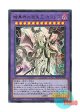 日本語版 AC03-JP004 海外未発売 暗黒界の混沌王 カラレス (ウルトラレア)